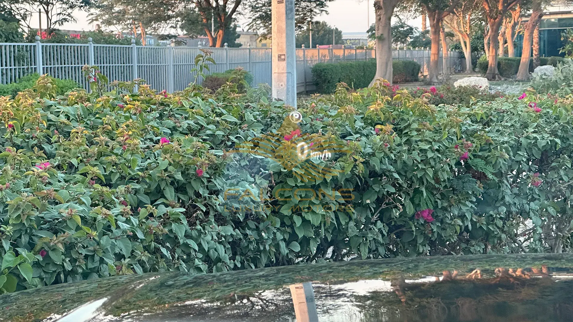 4.4L P530 Autobiography SWB AT - Image 19